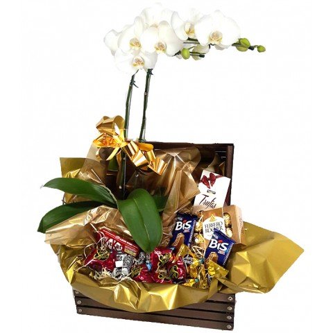 Arranjo de Orquídea Phalaenopsis com Chocolates no Baú de Madeira - Cor Variada
